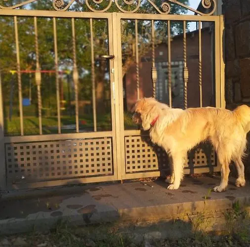 Vakantiehuis Tejedor *