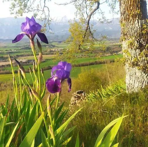 Tejedor Morillo de Monclus